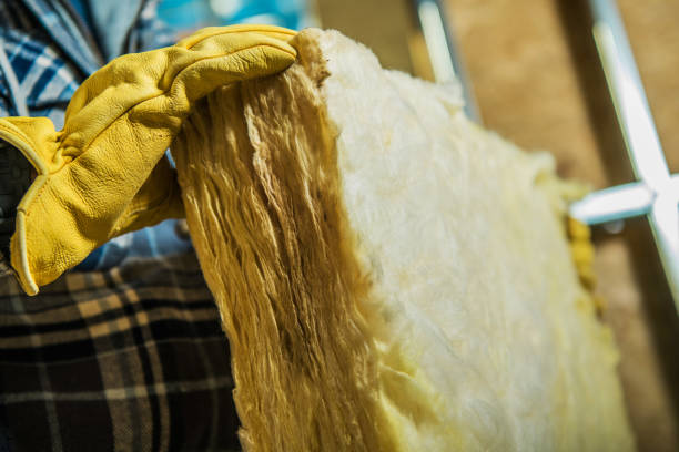 Insulation Contractors for Homes in Burlington, WI